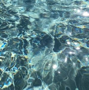 Meet your Posher, Nia